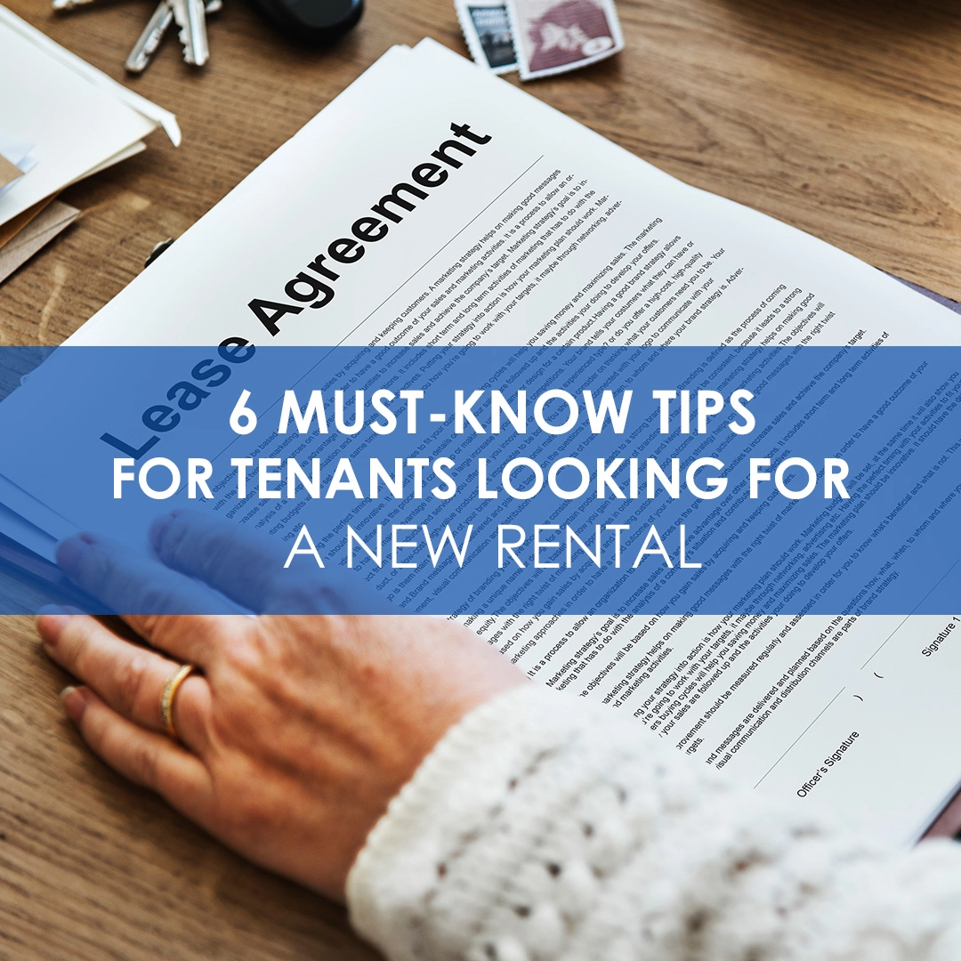 6 Must-Know Tips For Tenants Looking For A New Rental